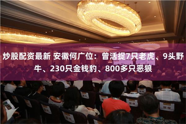 炒股配资最新 安徽何广位：曾活捉7只老虎、9头野牛、230只金钱豹、800多只恶狼