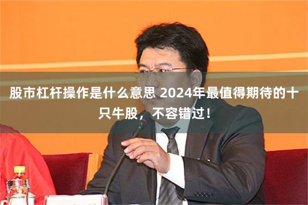 股市杠杆操作是什么意思 2024年最值得期待的十只牛股，不容错过！