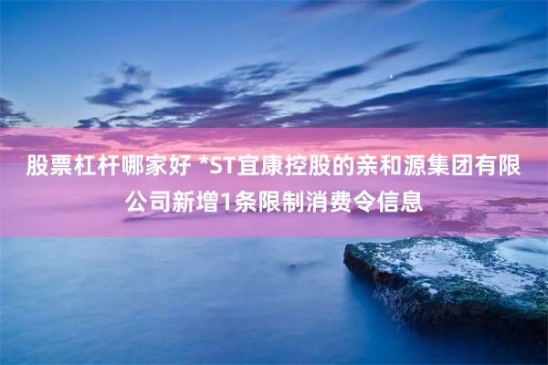 股票杠杆哪家好 *ST宜康控股的亲和源集团有限公司新增1条限制消费令信息