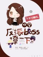 快穿：反派BOSS，撩一下