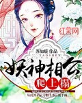 妖神相公逆天妻