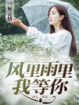 风里雨里我等你