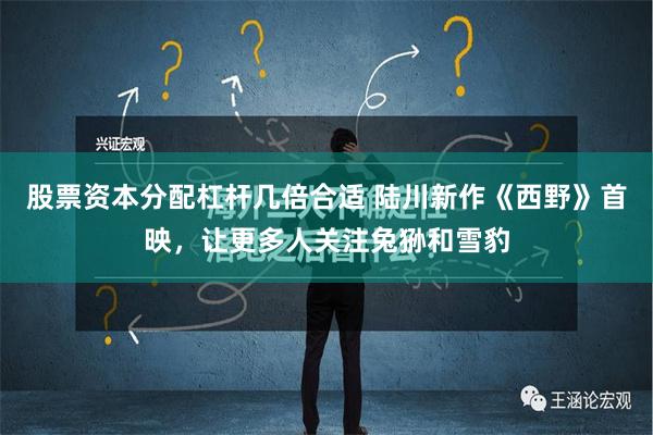 股票资本分配杠杆几倍合适 陆川新作《西野》首映，让更多人关注兔狲和雪豹