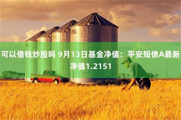 可以借钱炒股吗 9月13日基金净值：平安短债A最新净值1.2151