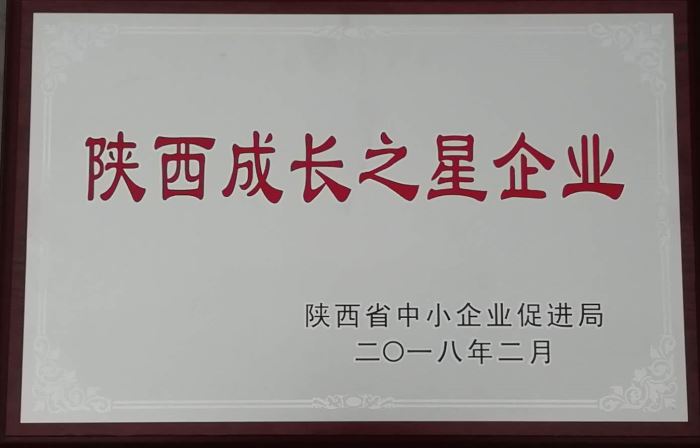 2018年度陜西成長之星企業