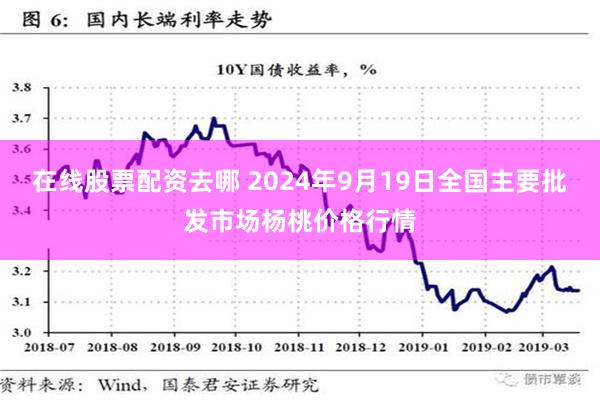 在线股票配资去哪 2024年9月19日全国主要批发市场杨桃价格行情