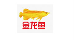 金龍魚