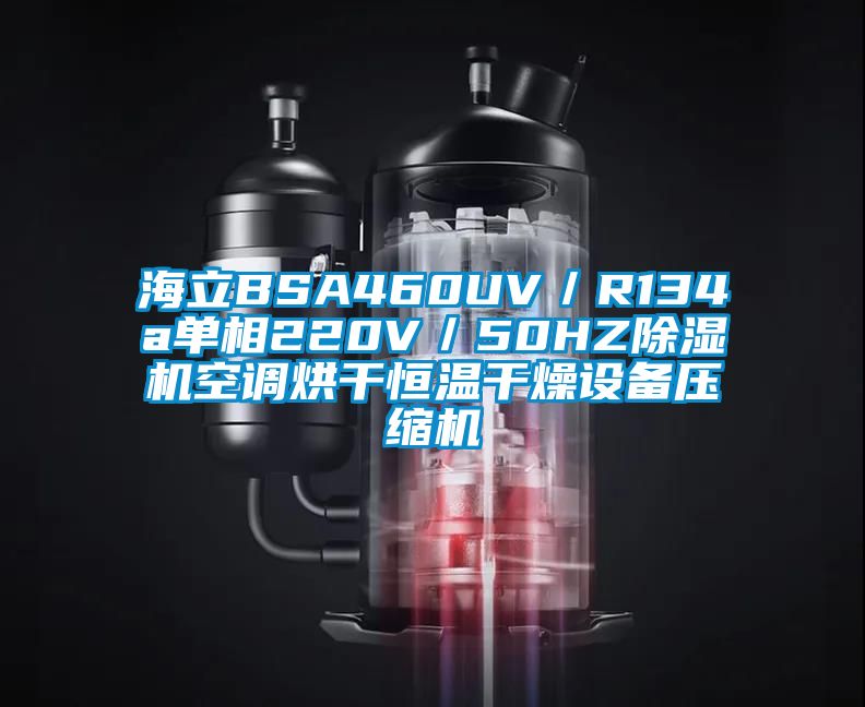 海立BSA460UV／R134a單相220V／50HZ除濕機(jī)空調(diào)烘干恒溫干燥設(shè)備壓縮機(jī)