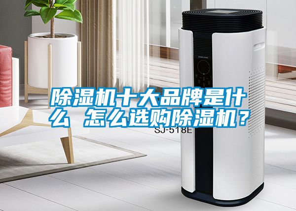 除濕機(jī)十大品牌是什么 怎么選購(gòu)除濕機(jī)？