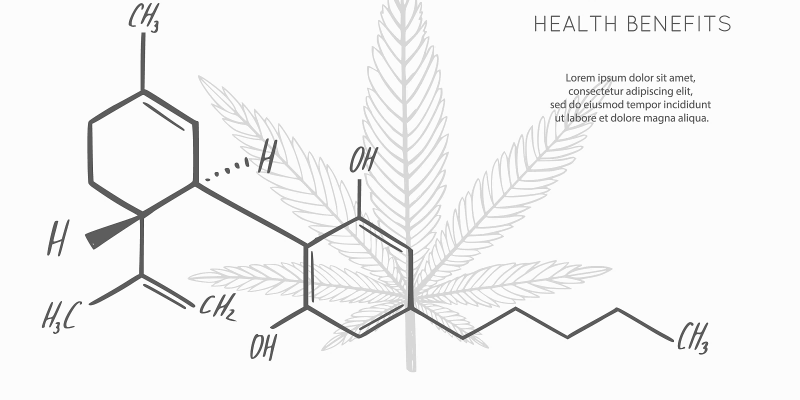 CBD提取