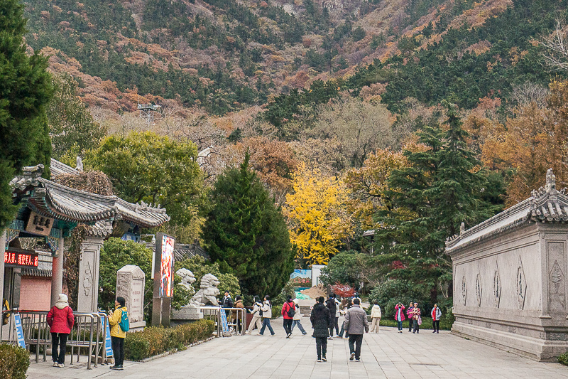 青岛和苏州哪个旅游好 青岛和苏州哪个好玩