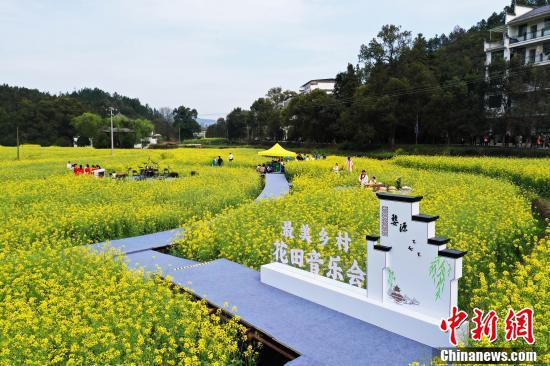 3月16日、江西省婺源県秋口鎮李坑村の菜の花畑で開催された郷村の特色溢れる花畑音楽会（撮影・劉占昆）。