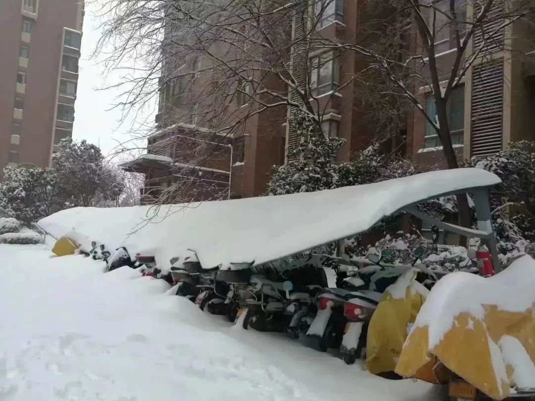 除雪保暢 物業業主齊上陣