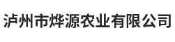 瀘州網站建設