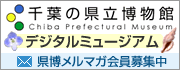 千葉の県立博物館デジタルミュージアム