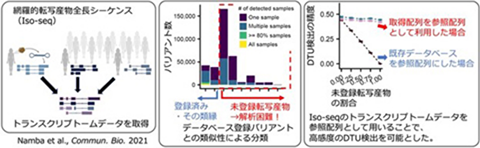 ロングリードシーケンス技術によるDifferential Transcript Usage (DTU)の検出手法