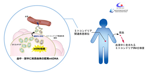 ムーンショット型研究開発事業