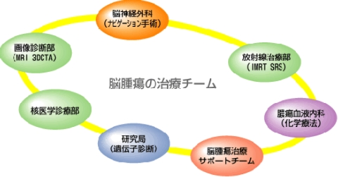 脳神経外科・放射線治療部・膿瘍血液内科・脳膿瘍治療サポートチーム・研究局（遺伝子診断）・核医学診療部・画像診断部が、脳腫瘍の医療チームです。