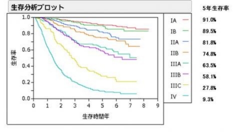 生存分析プロット