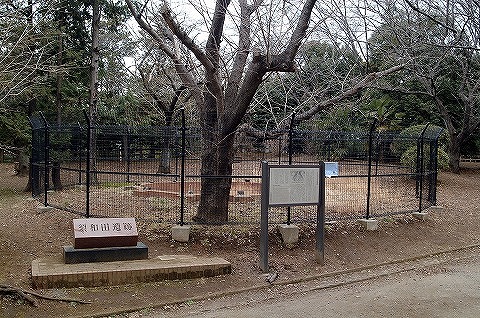 須和田遺跡