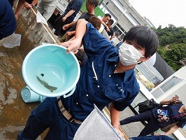 網ですくった稚魚を見せる生徒の画像