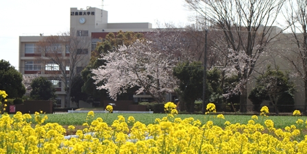 農業大学校の春