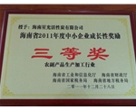 2011年度海南中小型企業(yè)成長(zhǎng)鼓勵(lì)獎(jiǎng)三等獎(jiǎng)