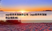 app软件开发制作公司（app软件开发制作公司杭州）