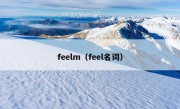 feelm（feel名词）