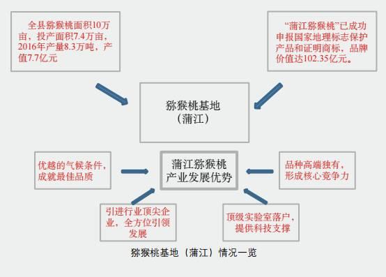 你真懂中国猕猴桃产业吗？目前存在的五个思考