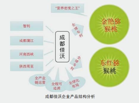 你真懂中国猕猴桃产业吗？目前存在的五个思考