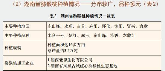 你真懂中国猕猴桃产业吗？目前存在的五个思考