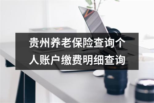 贵州养老保险查询个人账户缴费明细查询