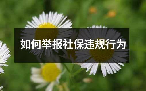 如何举报社保违规行为