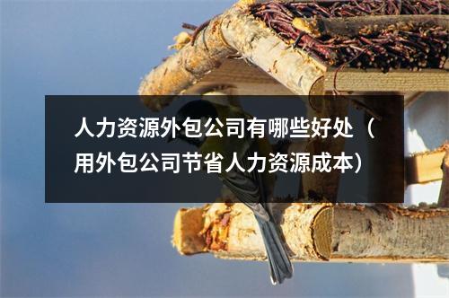 人力资源外包公司有哪些好处（用外包公司节省人力资源成本）