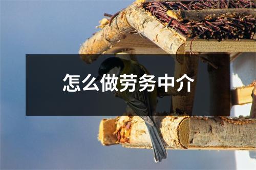 怎么做劳务中介