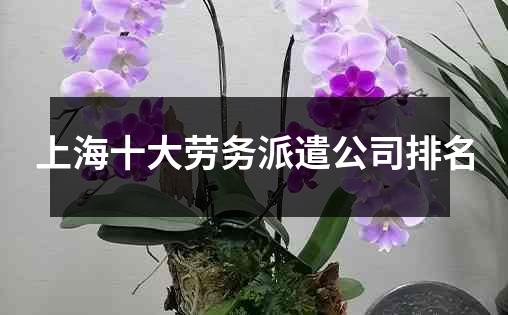 上海十大劳务派遣公司排名