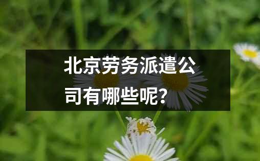 北京劳务派遣公司有哪些呢？