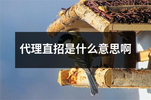 代理直招是什么意思啊