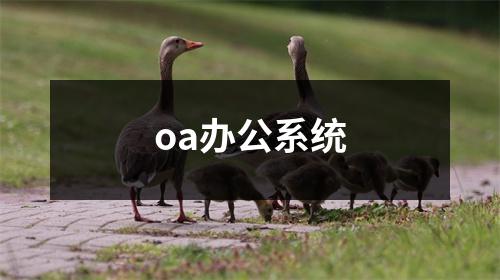 oa办公系统