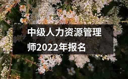 中级人力资源管理师2022年报名