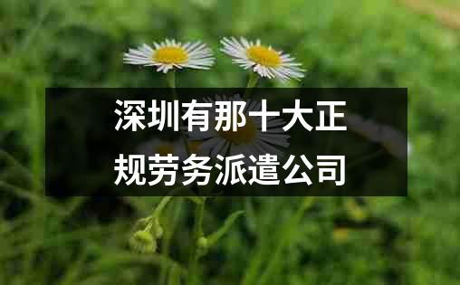 深圳有那十大正规劳务派遣公司