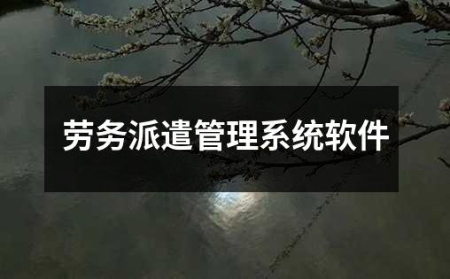 劳务派遣管理系统软件