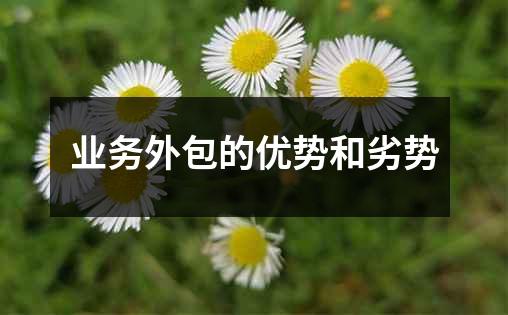 业务外包的优势和劣势