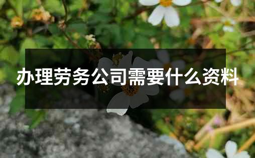 办理劳务公司需要什么资料