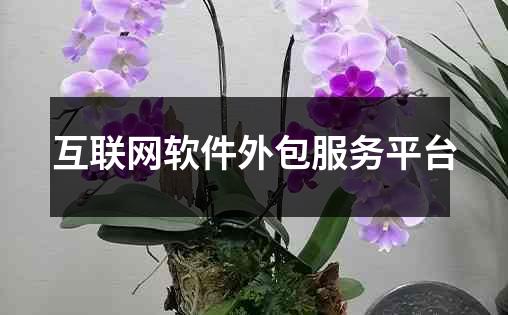 互联网软件外包服务平台