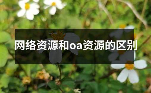 网络资源和oa资源的区别