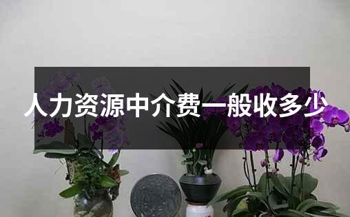 人力资源中介费一般收多少