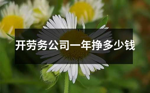 开劳务公司一年挣多少钱