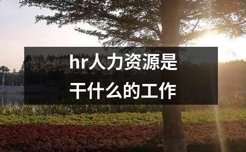 hr人力资源是干什么的工作